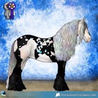 Horse Color:Nacre Buckskin Ice Tobiano Rabicano 