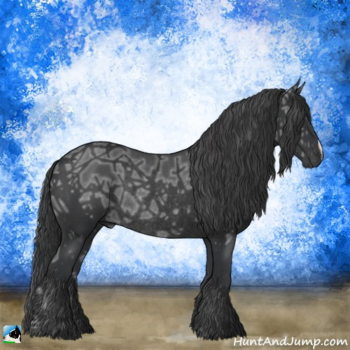 Horse Color:Black Ice Rabicano 