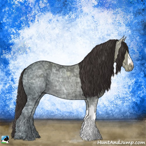 Horse Color:Smoky Black Ice Rabicano 