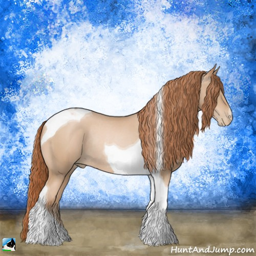 Horse Color:Buckskin Pearl Mushroom Tobiano Rabicano 