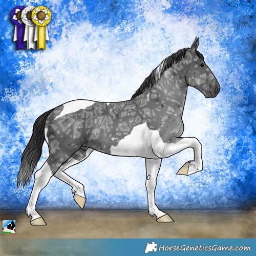 Horse Color:Black Ice Tobiano 