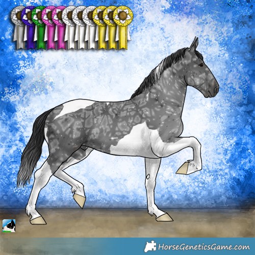 Horse Color:Black Ice Tobiano 