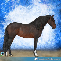 Horse Color:Brown Rabicano 