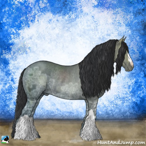 Horse Color:Black Ice Mushroom Rabicano 