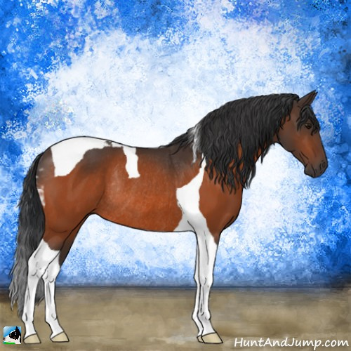 Horse Color:Bay Tobiano Rabicano 