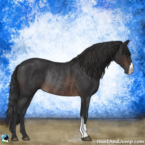 Horse Color:Brown Rabicano 