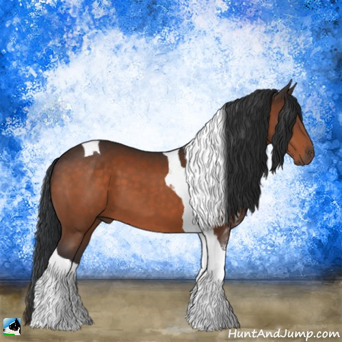Horse Color:Brown Tobiano 