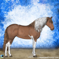 Horse Color:Liver Chestnut Sabino Tobiano