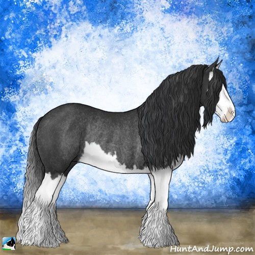 Horse Color:Black Mushroom Splash Rabicano 
