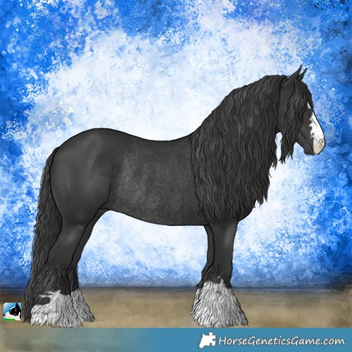 Horse Color:Black Mushroom Rabicano 