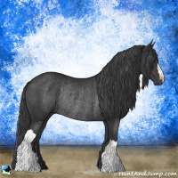 Horse Color:Black Mushroom Rabicano 