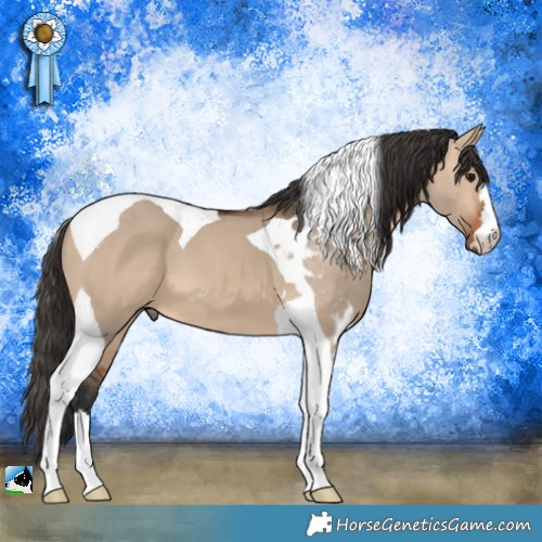 Horse Color:Bay Dun Tobiano 
