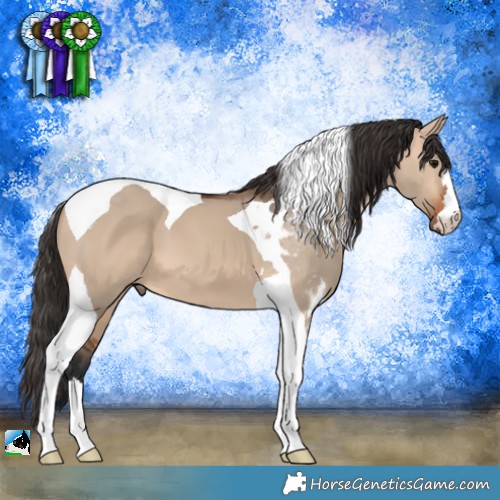 Horse Color:Bay Dun Tobiano 