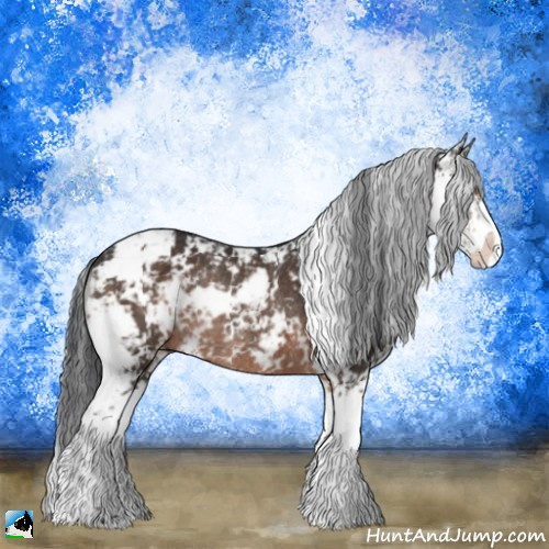 Horse Color:Brown Sabino Rabicano 