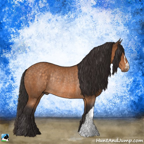 Horse Color:Buckskin Mushroom Rabicano 
