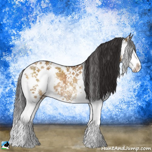 Horse Color:Buckskin Dun Mushroom Sabino Splash Rabicano 
