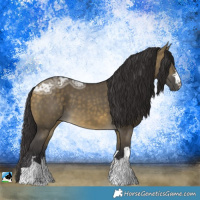 Horse Color:Buckskin Ice Dun Mushroom Rabicano 