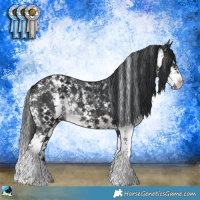Horse Color:Brown Mushroom Sabino Rabicano