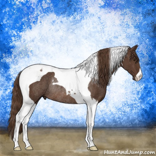 Horse Color:Liver Chestnut Tobiano Rabicano 