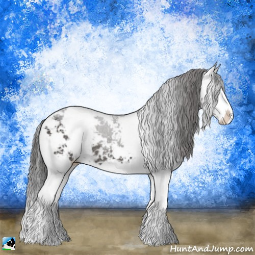 Horse Color:Smoky Black Mushroom Sabino Splash Rabicano 