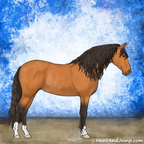 Horse Color:Buckskin Rabicano 