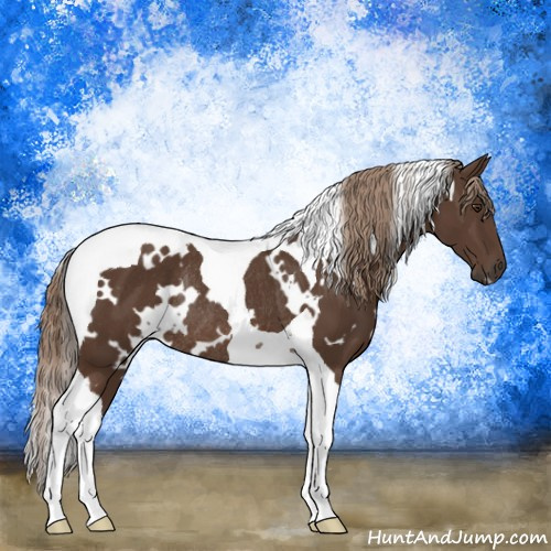 Horse Color:White Spotted Liver Chestnut Tobiano Rabicano 