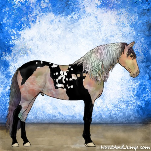 Horse Color:Nacre Bay Ice Tobiano 