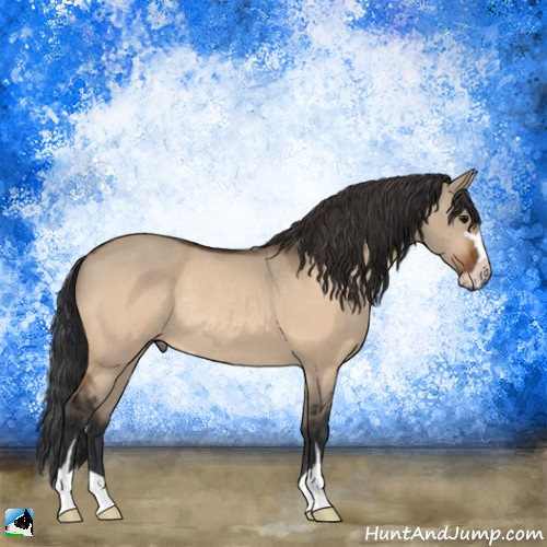 Horse Color:Bay Dun Sabino Rabicano 