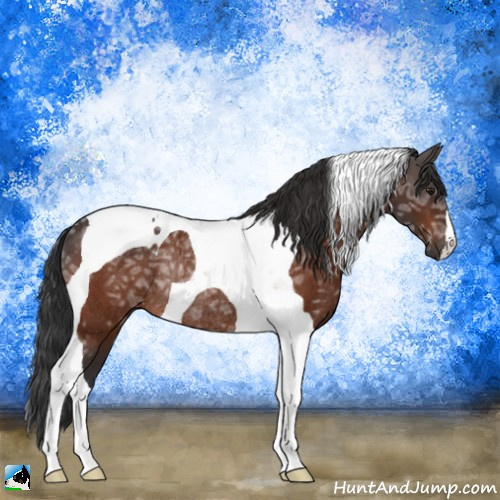 Horse Color:Brown Ice Tobiano Rabicano 