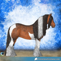 Horse Color:Bay Tobiano 