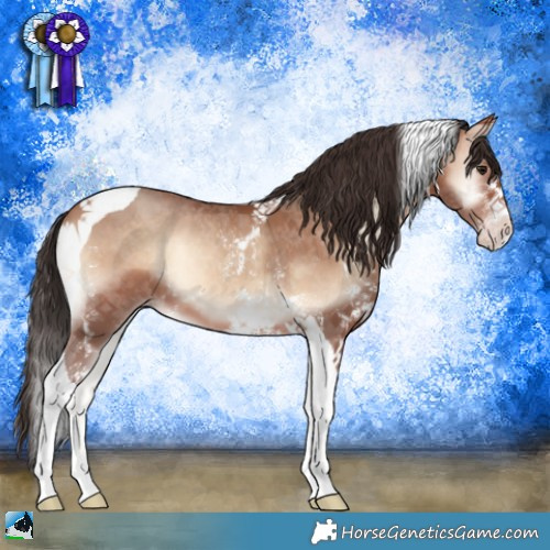 Horse Color:Sable Champagne Onyx Sabino Tobiano 
