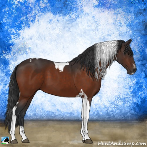 Horse Color:Brown Sabino Tobiano 
