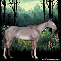 Horse Color:White Spotted Liver Red Dun 
