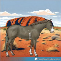 Horse Color:Liver Red Dun Sabino 