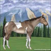 Horse Color:Liver Red Dun Tobiano