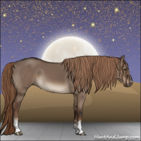 Horse Color:White Spotted Liver Red Dun Rabicano 