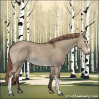Horse Color:White Spotted Liver Red Dun Rabicano 