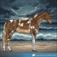 Horse Color:White Spotted Chocolate Palomino Tobiano 