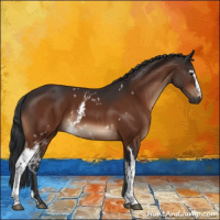 Horse Color:White Spotted Brown 