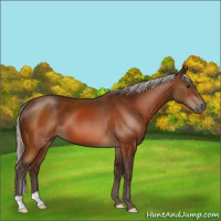 Horse Color:Silver Brown 