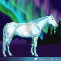 Horse Color:Gray Thunderstruck White Spotted Chestnut 