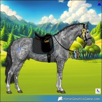 Horse Color:Black Ice Tobiano 