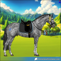 Horse Color:Black Ice Tobiano 