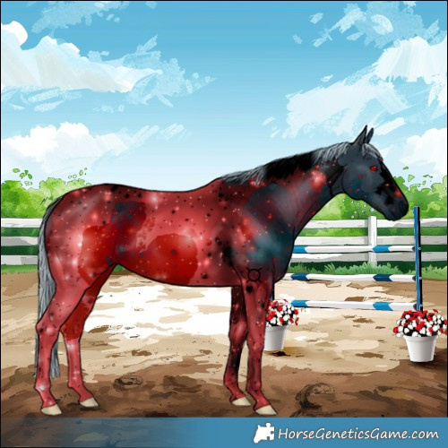 Horse Color:ERROR: UNKNOWN ANOMALY