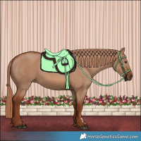 Horse Color:Red Dun 
