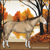 Horse Color:Gray Red Dun Splash 