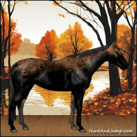 Horse Color:Void White Spotted Bay 