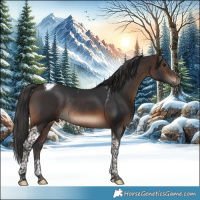 Horse Color:Brown Tobiano Rabicano 