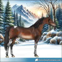 Horse Color:Brown Tobiano Rabicano 