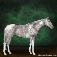 Horse Color:Silver Black Ice Tobiano 